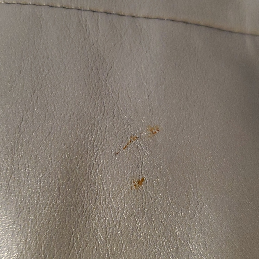 Coach bag - Picture 3 of 8